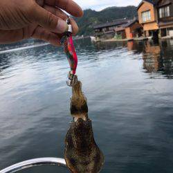 まるいち丸 ZERO-1 釣果