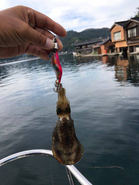 まるいち丸 ZERO-1 釣果