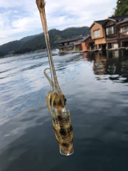 まるいち丸 ZERO-1 釣果