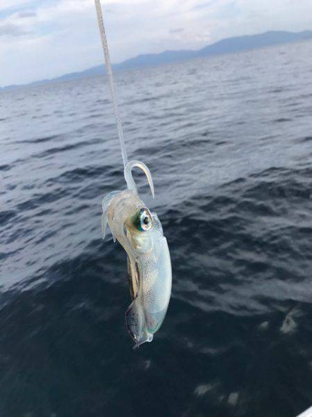 まるいち丸 ZERO-1 釣果