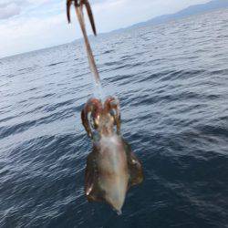 まるいち丸 ZERO-1 釣果