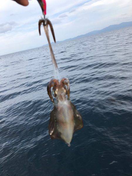 まるいち丸 ZERO-1 釣果