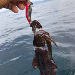 まるいち丸 ZERO-1 釣果