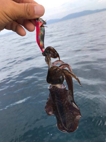 まるいち丸 ZERO-1 釣果