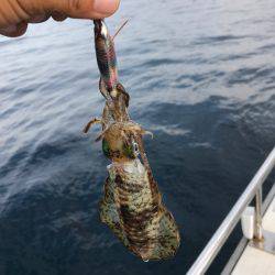 まるいち丸 ZERO-1 釣果