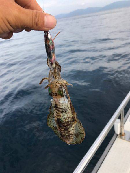 まるいち丸 ZERO-1 釣果