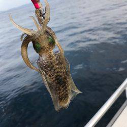 まるいち丸 ZERO-1 釣果