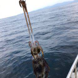 まるいち丸 ZERO-1 釣果