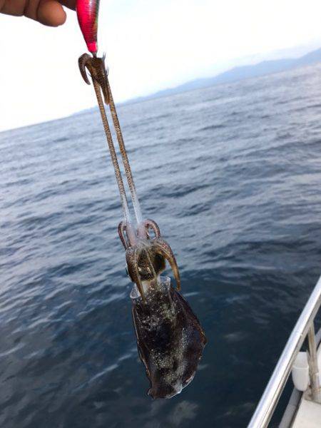 まるいち丸 ZERO-1 釣果