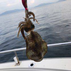 まるいち丸 ZERO-1 釣果