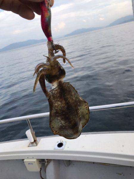 まるいち丸 ZERO-1 釣果