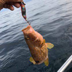 まるいち丸 ZERO-1 釣果