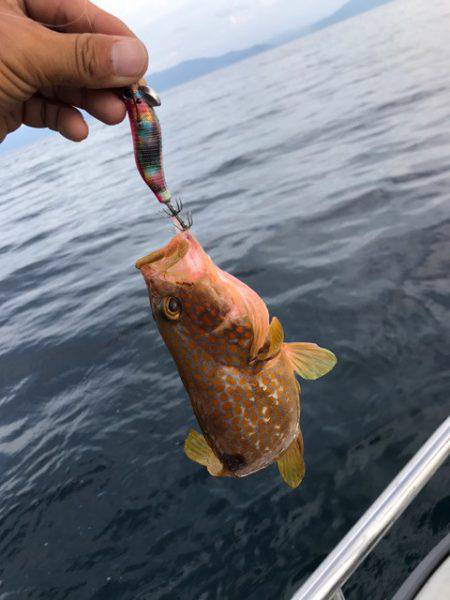 まるいち丸 ZERO-1 釣果