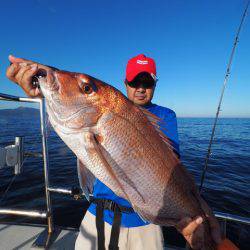 まるいち丸 ZERO-1 釣果