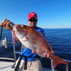 まるいち丸 ZERO-1 釣果