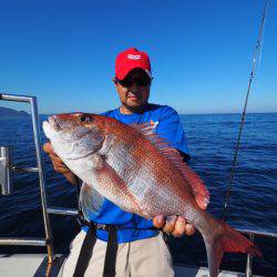 まるいち丸 ZERO-1 釣果
