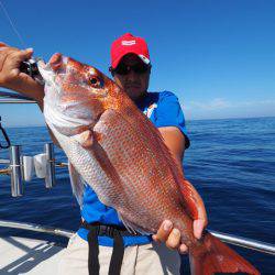 まるいち丸 ZERO-1 釣果