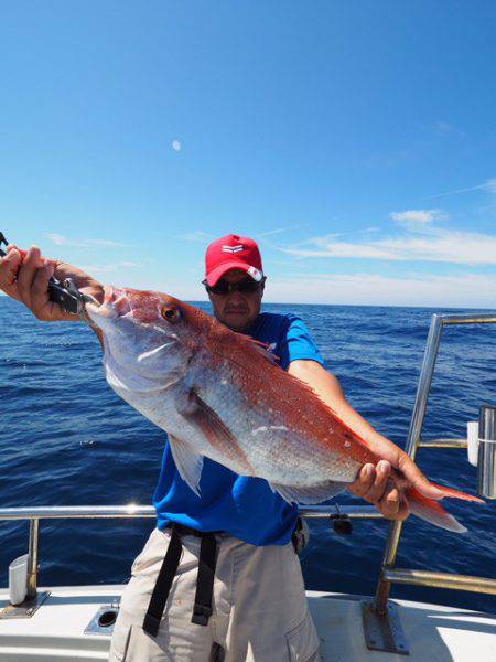 まるいち丸 ZERO-1 釣果