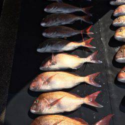 まるいち丸 ZERO-1 釣果