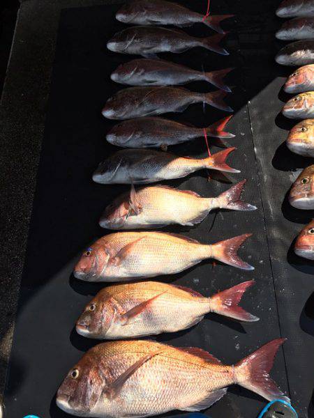 まるいち丸 ZERO-1 釣果