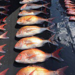 まるいち丸 ZERO-1 釣果