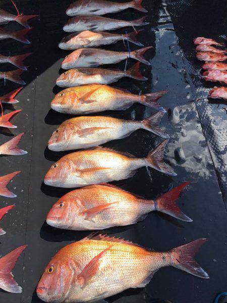 まるいち丸 ZERO-1 釣果