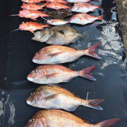 まるいち丸 ZERO-1 釣果