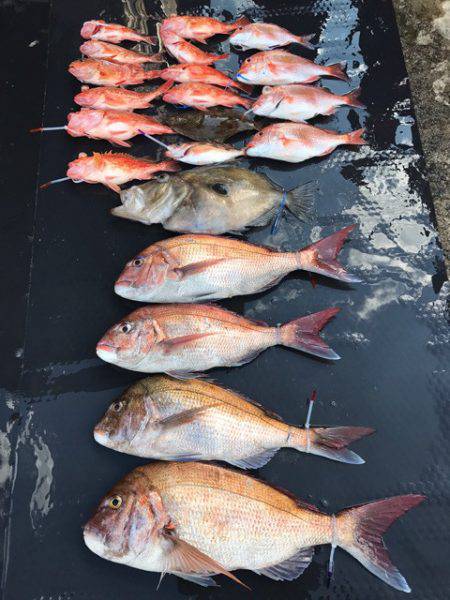 まるいち丸 ZERO-1 釣果