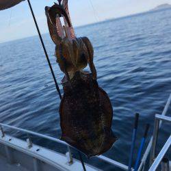 まるいち丸 ZERO-1 釣果