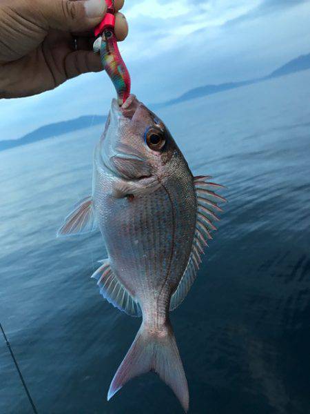 まるいち丸 ZERO-1 釣果