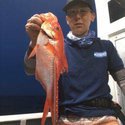 ＴＡＲＯＭＡＲＵ 釣果