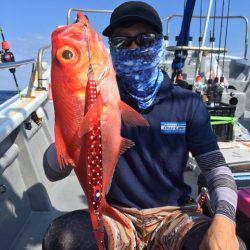 ＴＡＲＯＭＡＲＵ 釣果