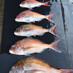 まるいち丸 ZERO-1 釣果