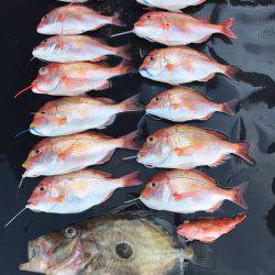 まるいち丸 ZERO-1 釣果