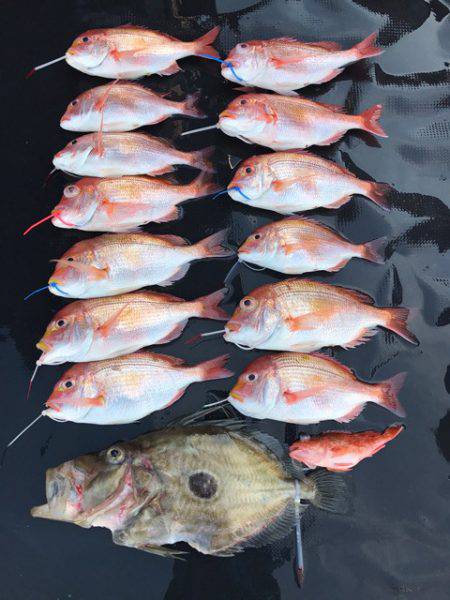 まるいち丸 ZERO-1 釣果