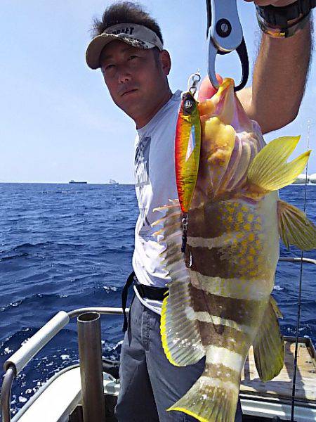 光生丸 釣果