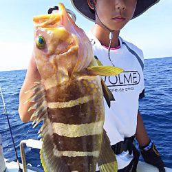 光生丸 釣果