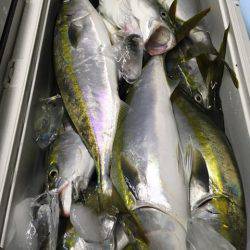 第二八坂丸 釣果