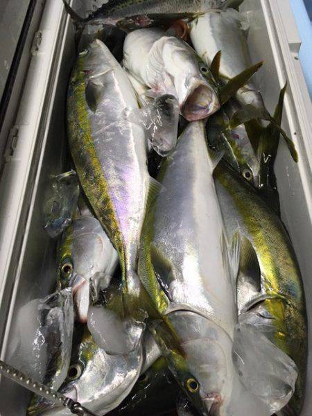 第二八坂丸 釣果