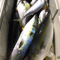 第二八坂丸 釣果