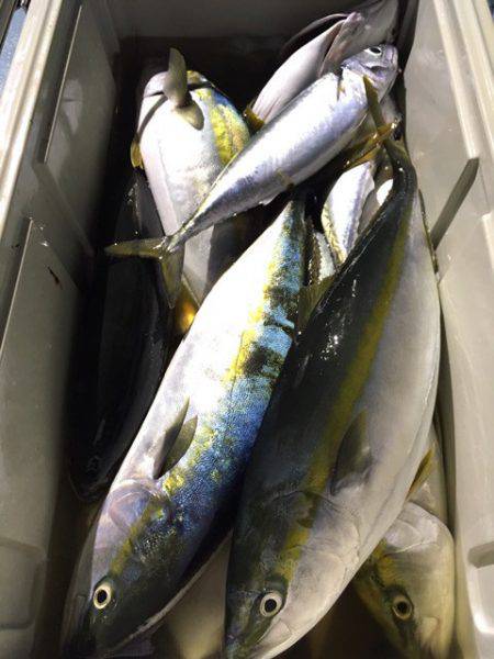 第二八坂丸 釣果