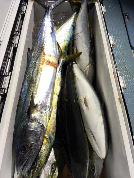 第二八坂丸 釣果