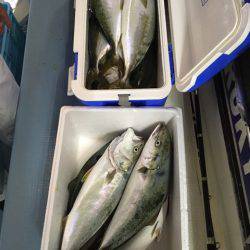 第二八坂丸 釣果