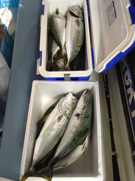 第二八坂丸 釣果