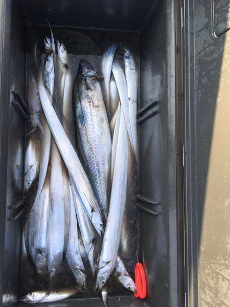 エムズジャーク（M's JERK…