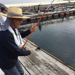 釣り堀水宝 釣果