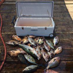 釣り堀水宝 釣果