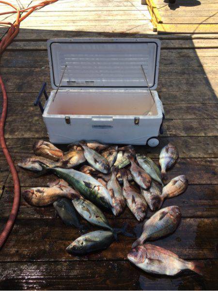 釣り堀水宝 釣果