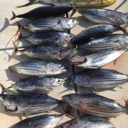 海楽隊 華栞丸 釣果