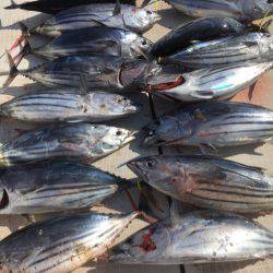 海楽隊 華栞丸 釣果